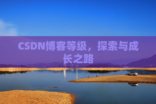 CSDN博客等级,探索与成长之路